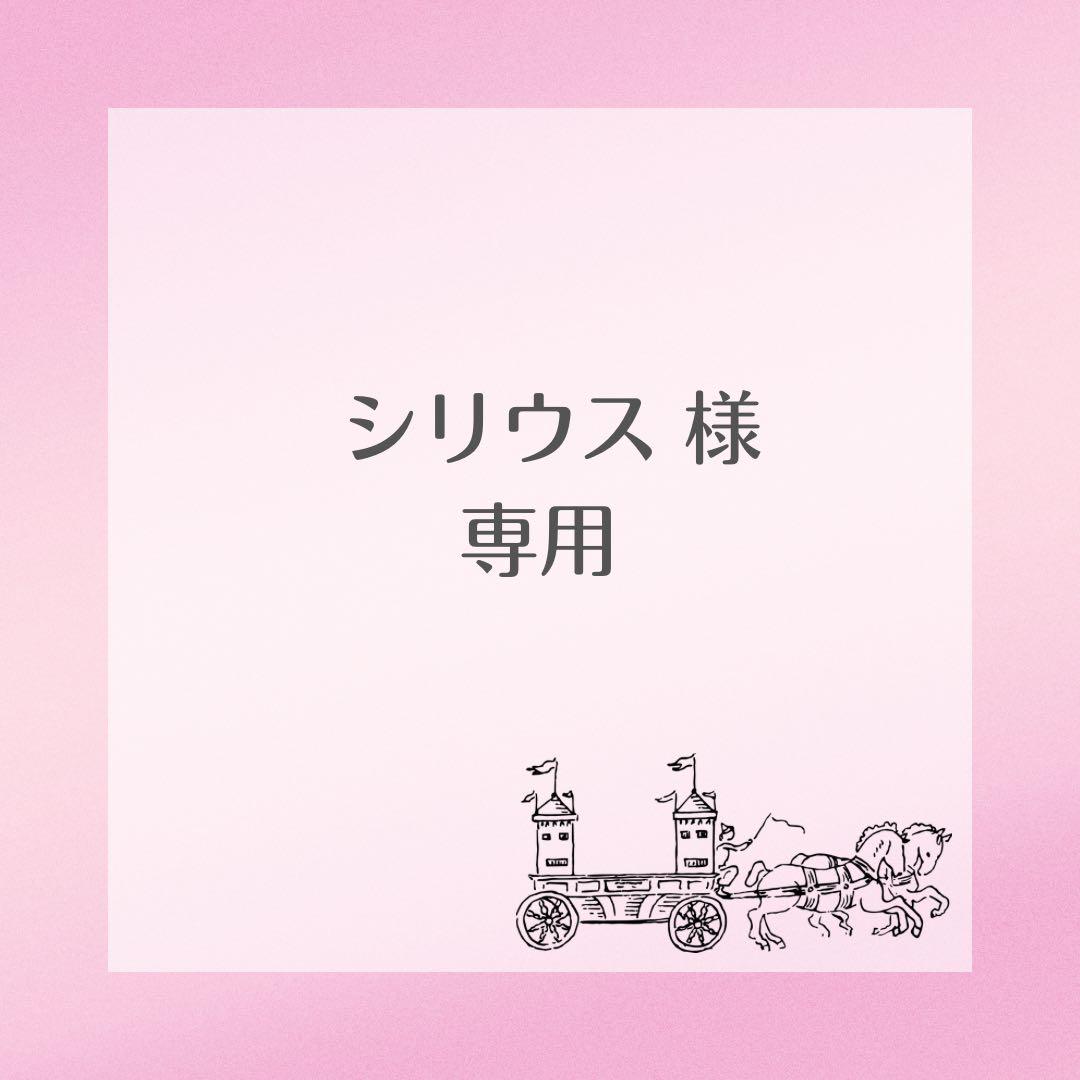 【シリウス】オーロラ風ウィッグ