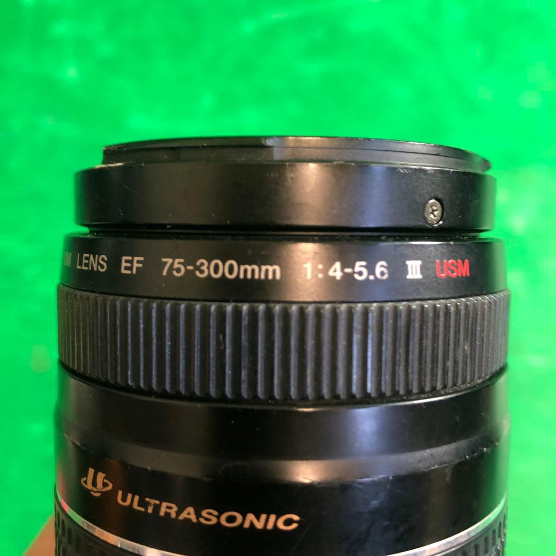 Canon EF ズームレンズ 1:4-5.6 75-300mm 現状渡し