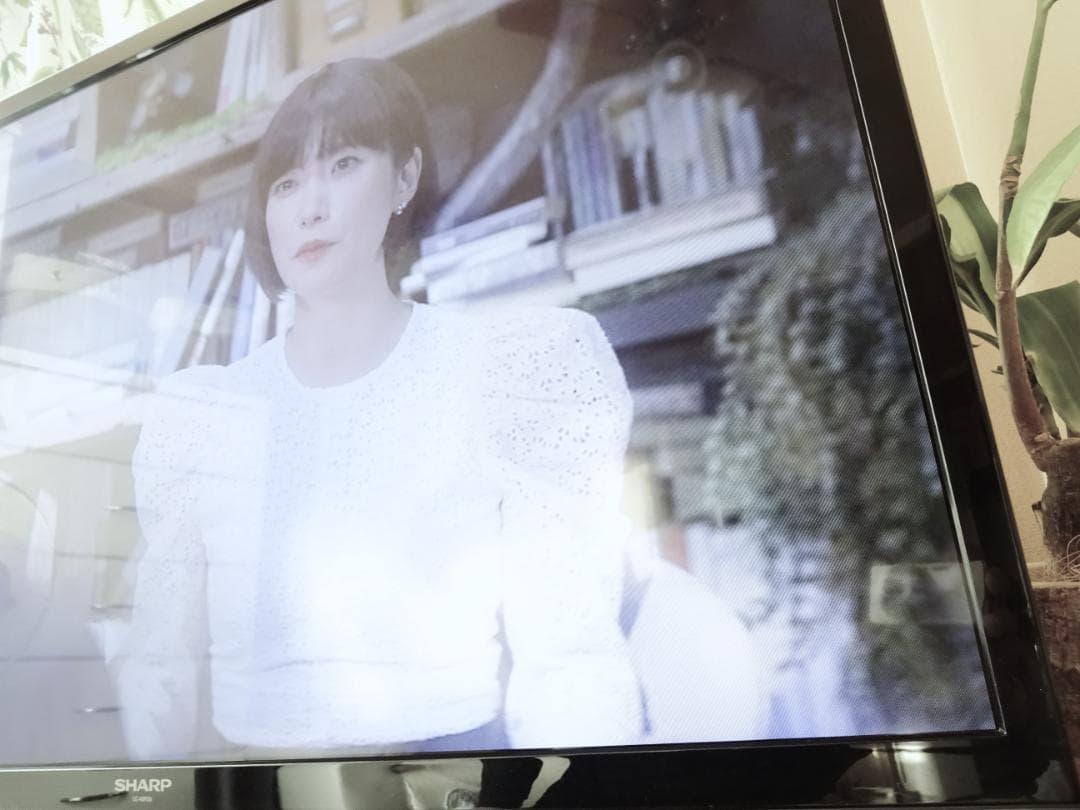 SHARP アクオス 2番組同時録画 BD/HDD一体型 液晶 LC-40R30