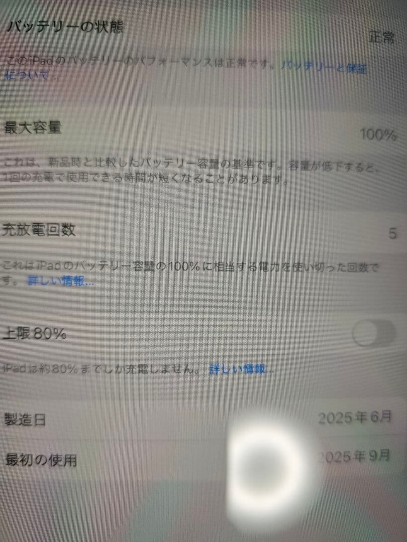 Apple iPad Air M3 128GB ブルー 美品