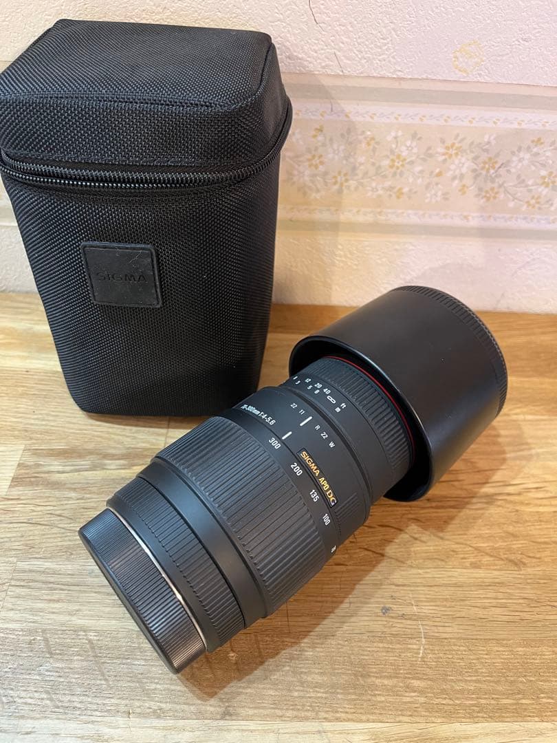 SIGMA 70-300mm DG APO MACRO キャノンEF用レンズ