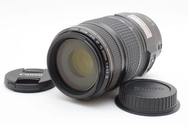 ★極上品★キヤノン EF 75-300mm F4-5.6 IS USM #693