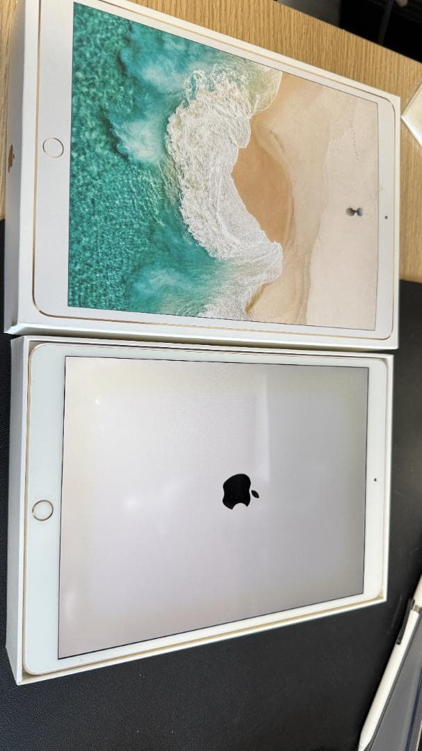 【ジャンク価格】iPad Pro 10.5インチ　256GB