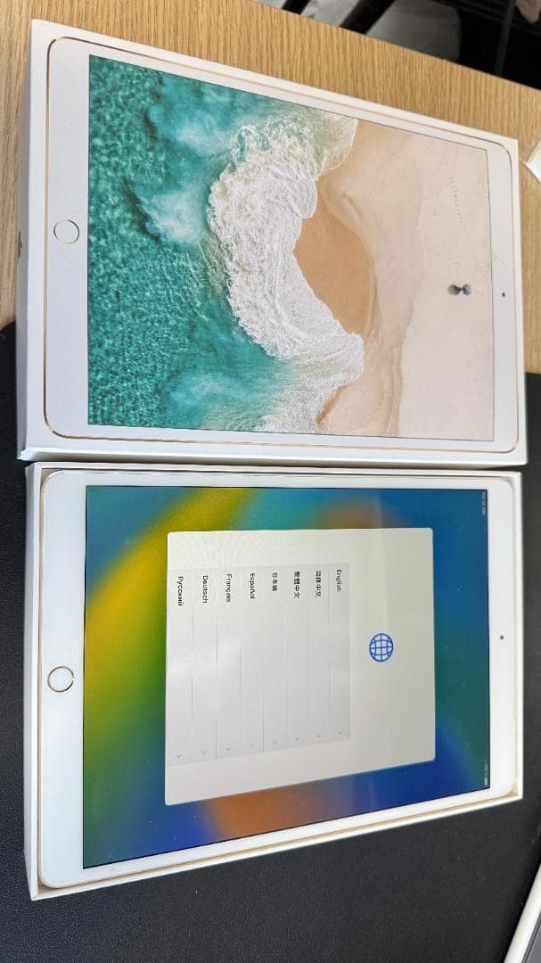 【ジャンク価格】iPad Pro 10.5インチ　256GB