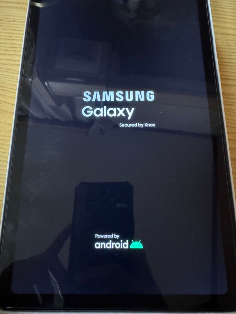 Samsung Galaxy Tab S6 Lite 2024 Wi-Fi 完品