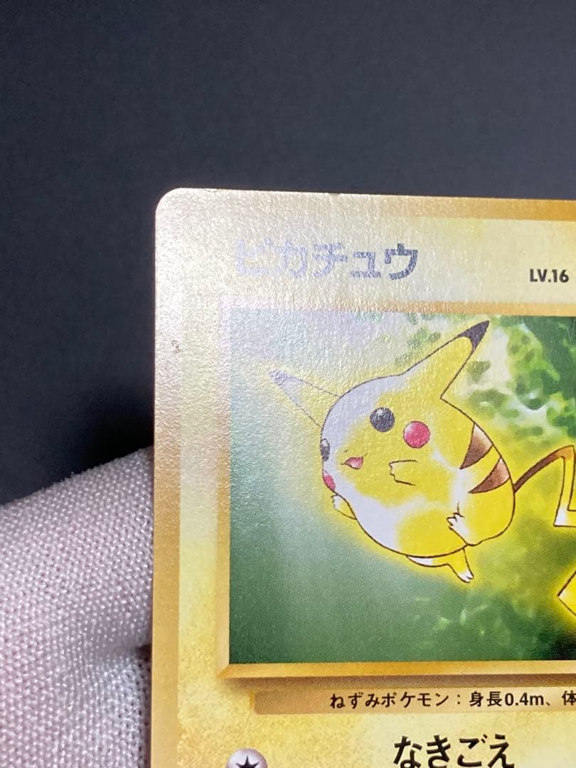 ピカチュウ 旧裏面 pmcg イントロパック 40 フシギダネマーク