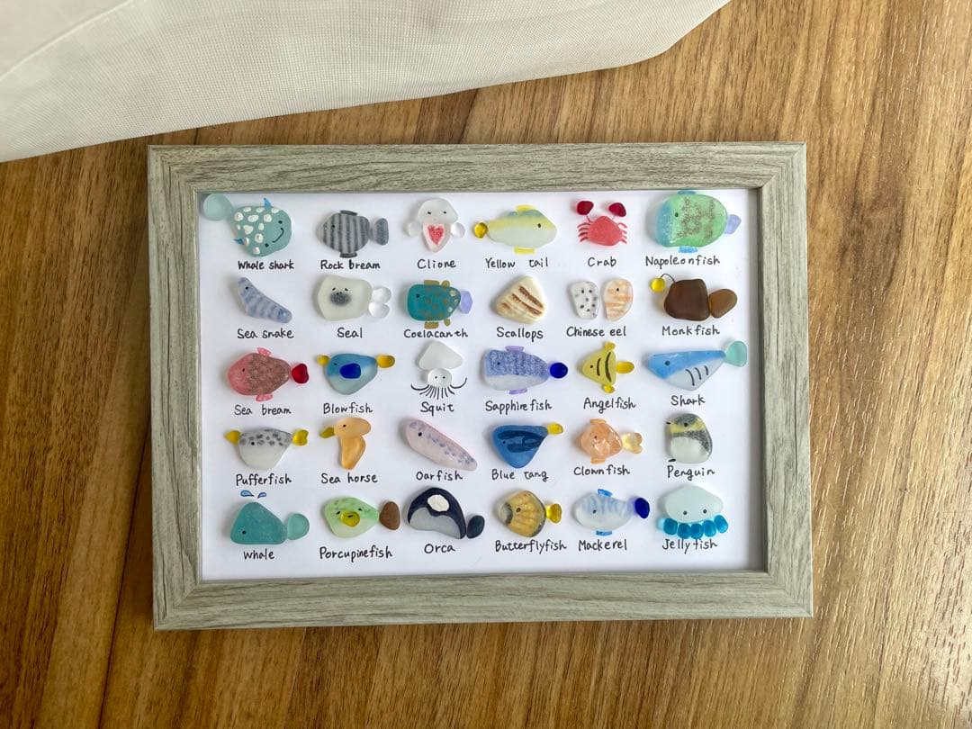人気の新作！シーグラスアート☆No.452 図鑑　海の生き物　ギフト　プレゼント