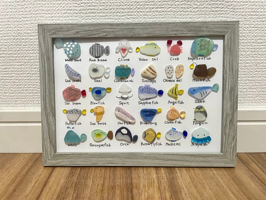 人気の新作！シーグラスアート☆No.452 図鑑　海の生き物　ギフト　プレゼント