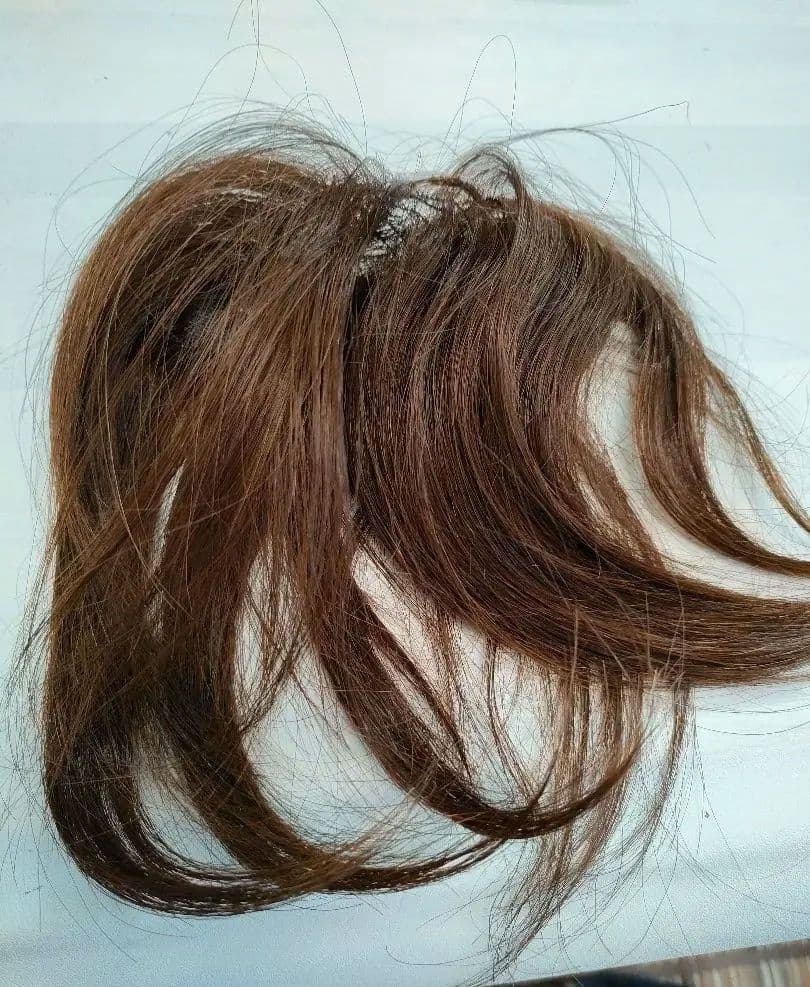 ウィッグ ①　人毛　１００％