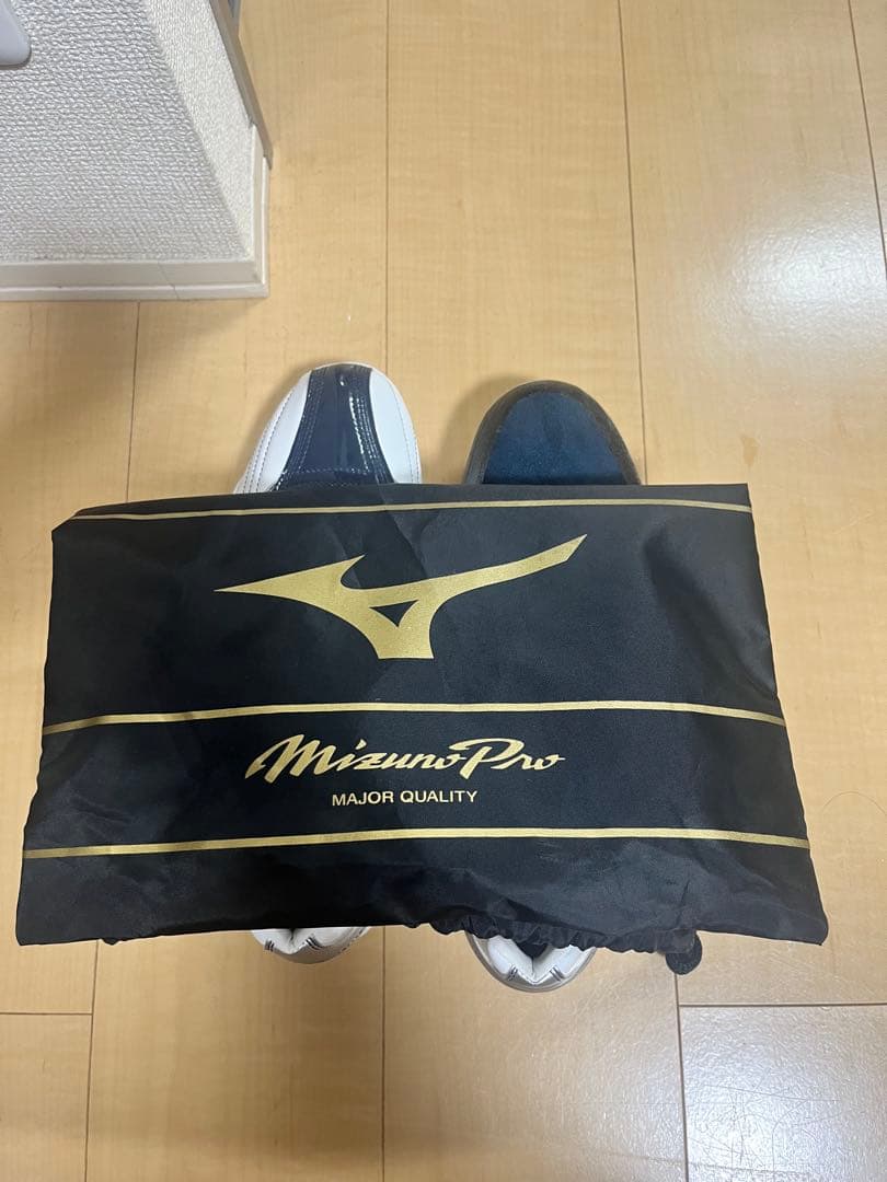 ミズノプロ　オーダースパイク