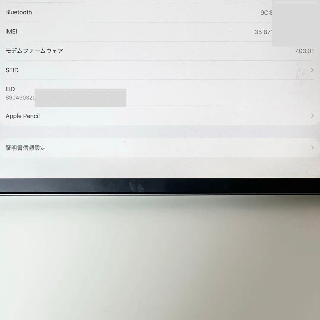 iPad Pro 12.9 第3世代 セルラー 64GB 豪華付属品完備 美品