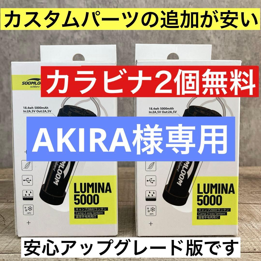 LUMINA5000 ルミナ5000 　真鍮製　38時　グローブ 38kt