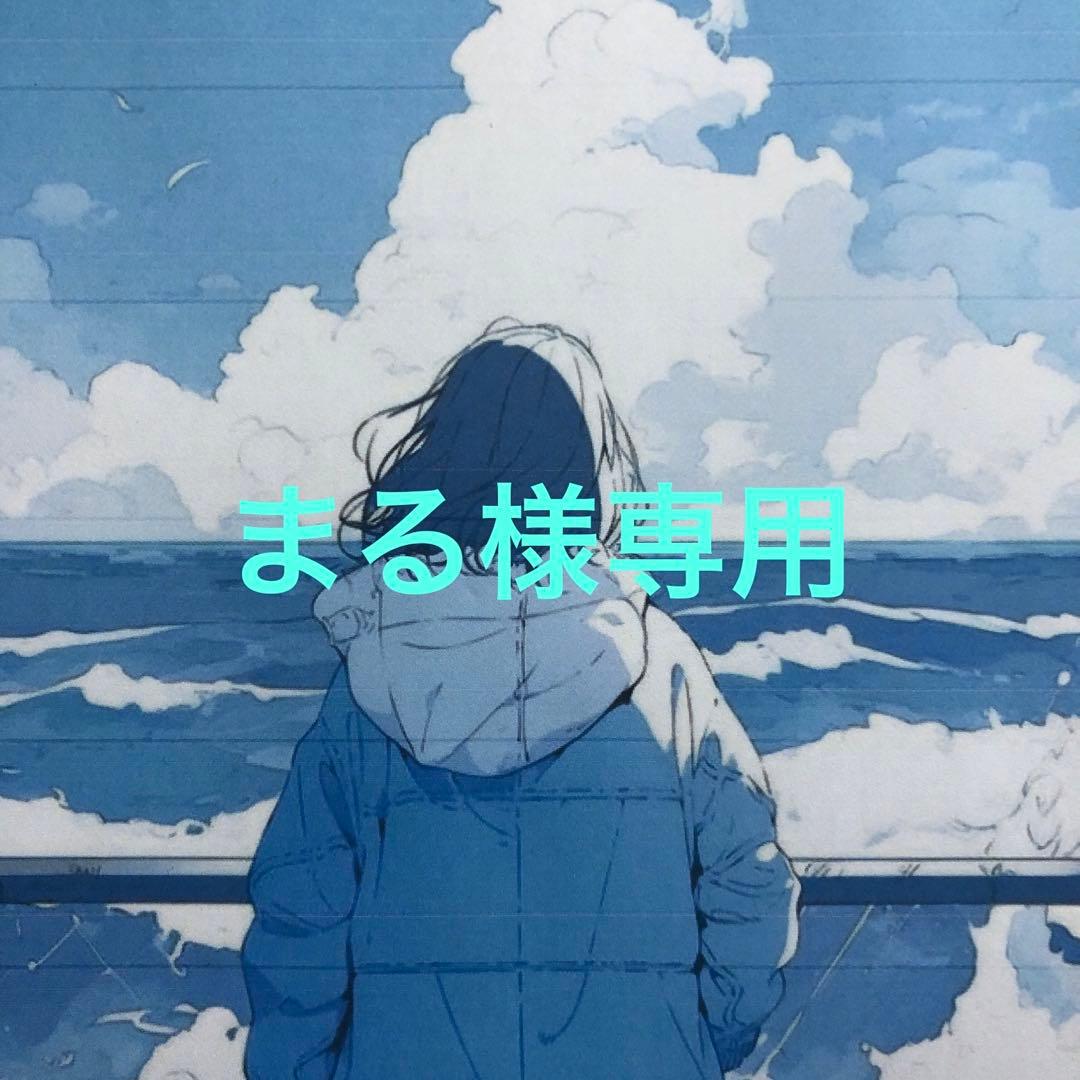 FACE POINTER II by CORE FIT 2　中古　極美品