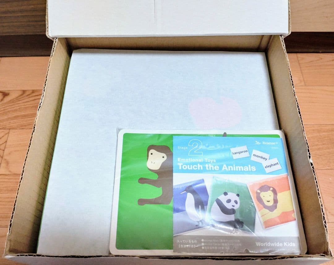 ネフスピール付★新品多数★2019年新版 完品フルセット ワールドワイドキッズ