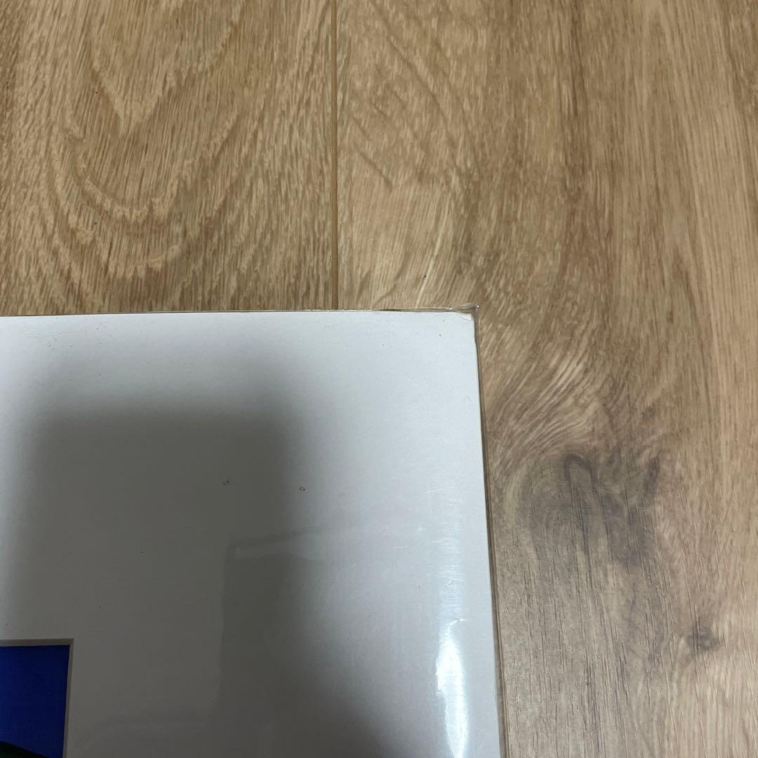 ヘザーブラウン 特大アート　Lサイズ ロンハーマン wtw