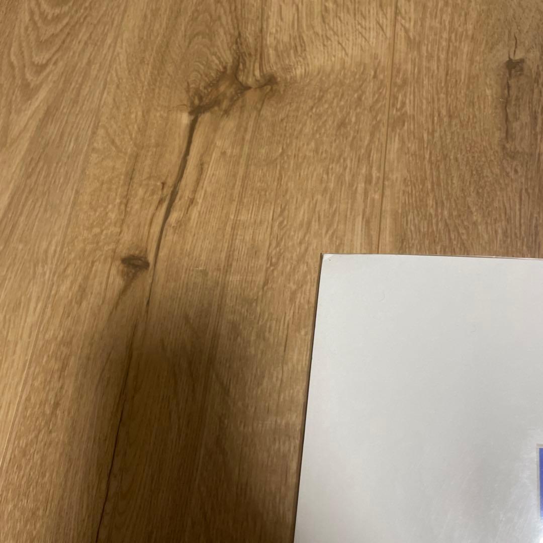 ヘザーブラウン 特大アート　Lサイズ ロンハーマン wtw