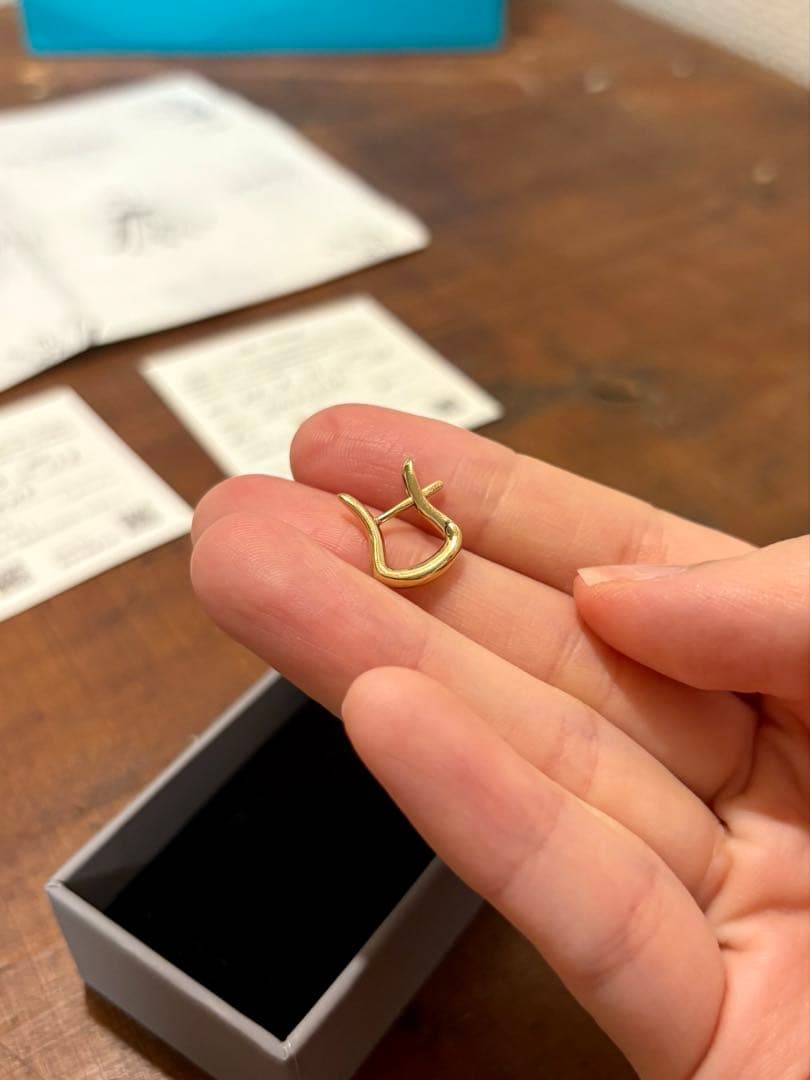 サ*マ様 Hirotaka (片耳用) CYGNUS ピアス S サイズ