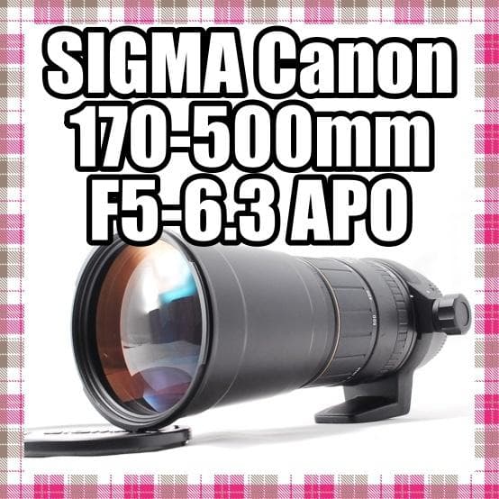 ✨超望遠✨美品✨SIGMA 170-500mm F5-6.3 APO Canon
