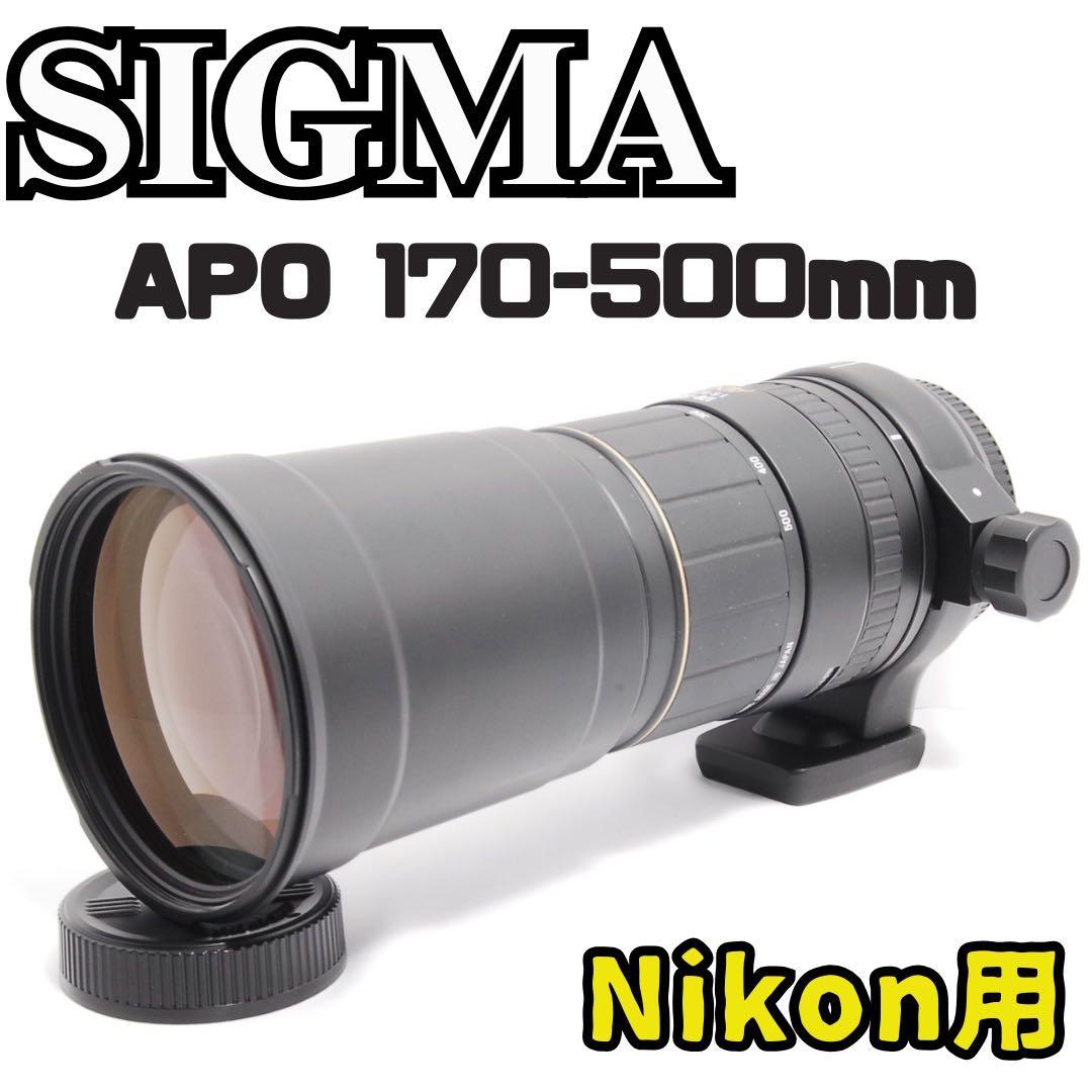 超望遠の世界へ！SIGMA APO 170-500mm F5-6.3 Nikon