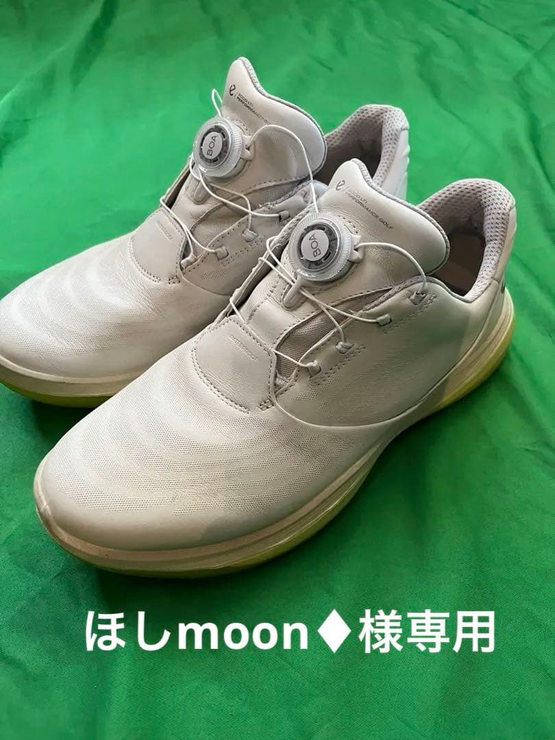 エコーゴルフシューズ