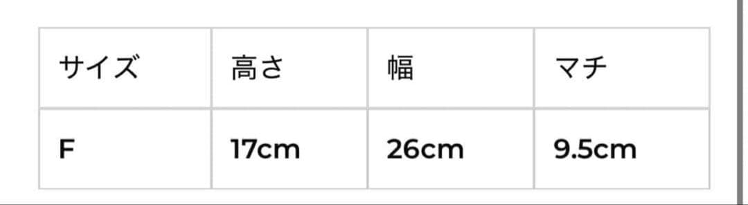 【新品】BEEDEN MINI B LOGO BAG BLACK