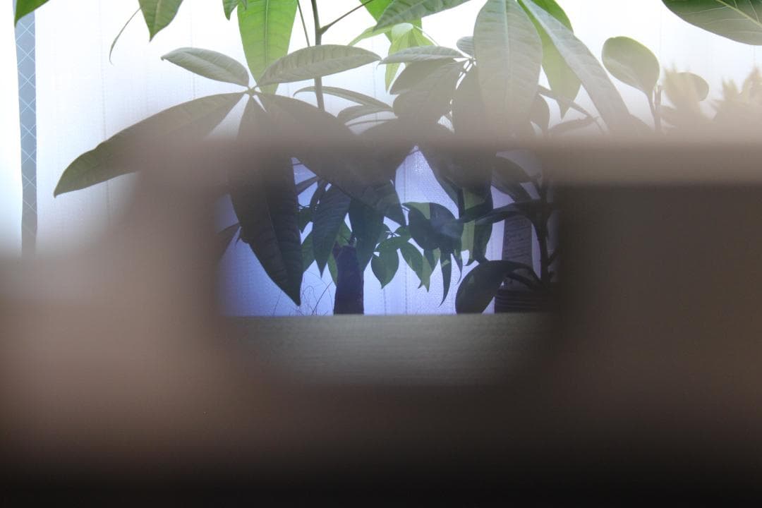 ＜極美品＞Konica IIIA 48mm f/2 未使用コニフィルター付