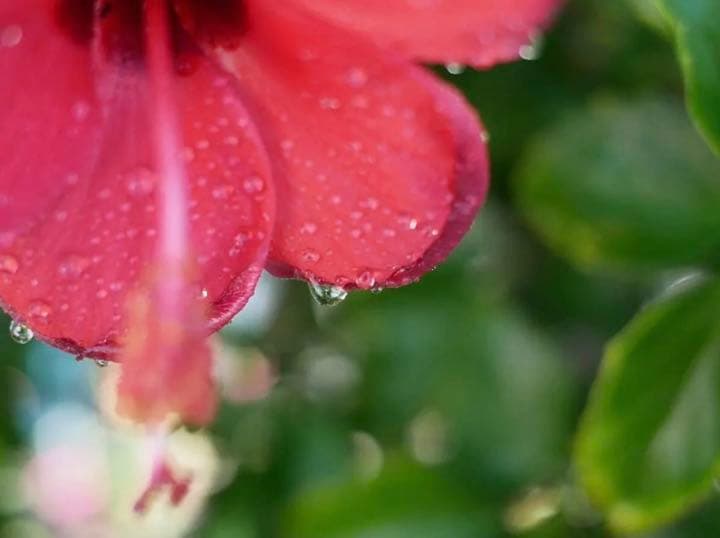 25mm F1.8 単焦点！SONYミラーレス対応！サードパーティ！マニュアル！