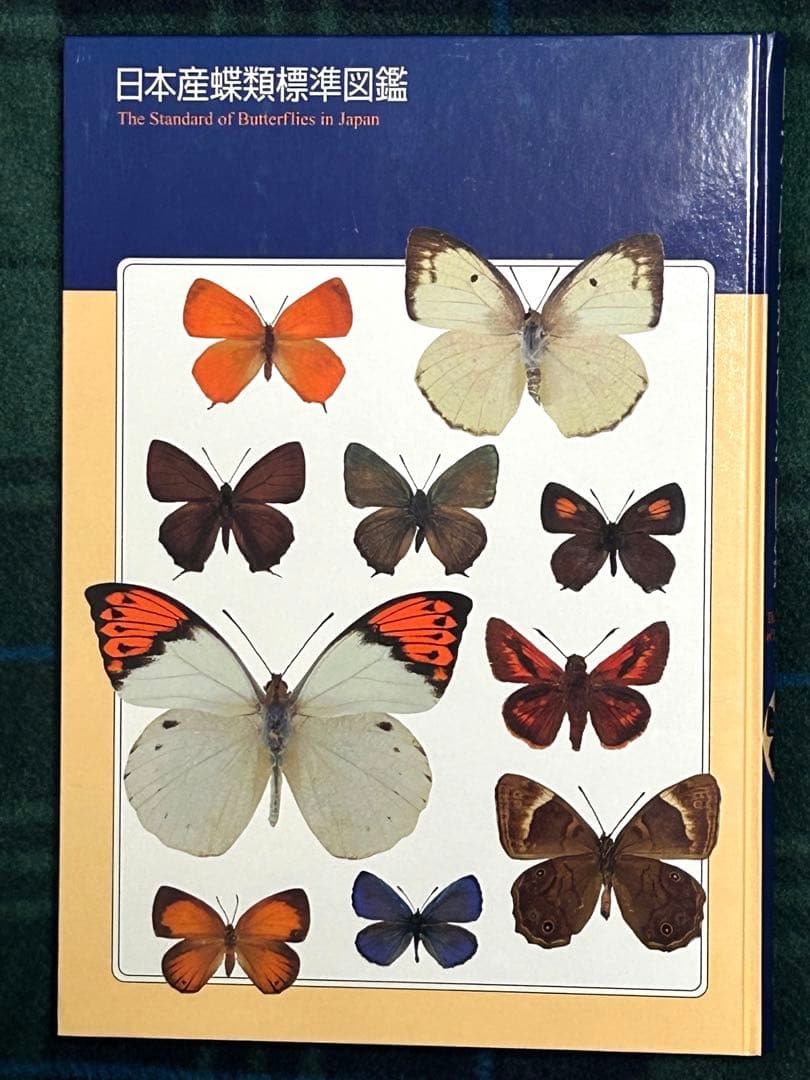 日本産蝶類標準図鑑　学研　カバー付き