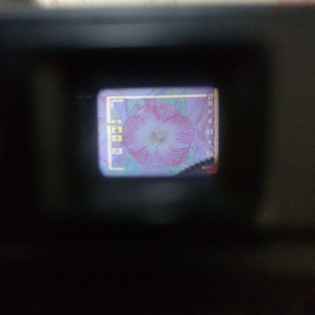 ☆☆文字消無し 露出計OK❕極上美品 完動品☆☆ ピッカリコニカ C35 EF