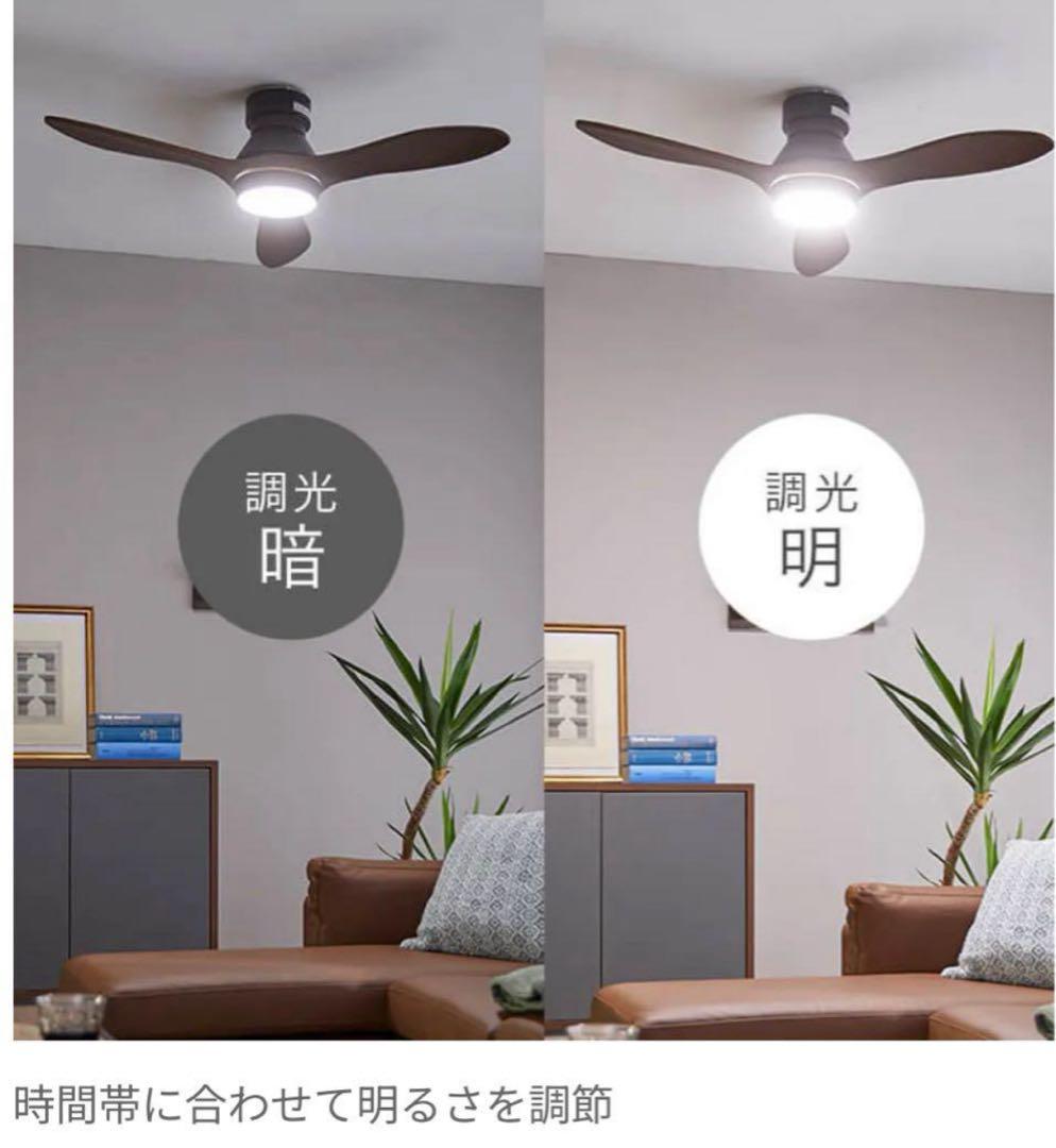 新品!LOWYA シーリングファンライトニュージャバリア2 ブラック/ブラウン