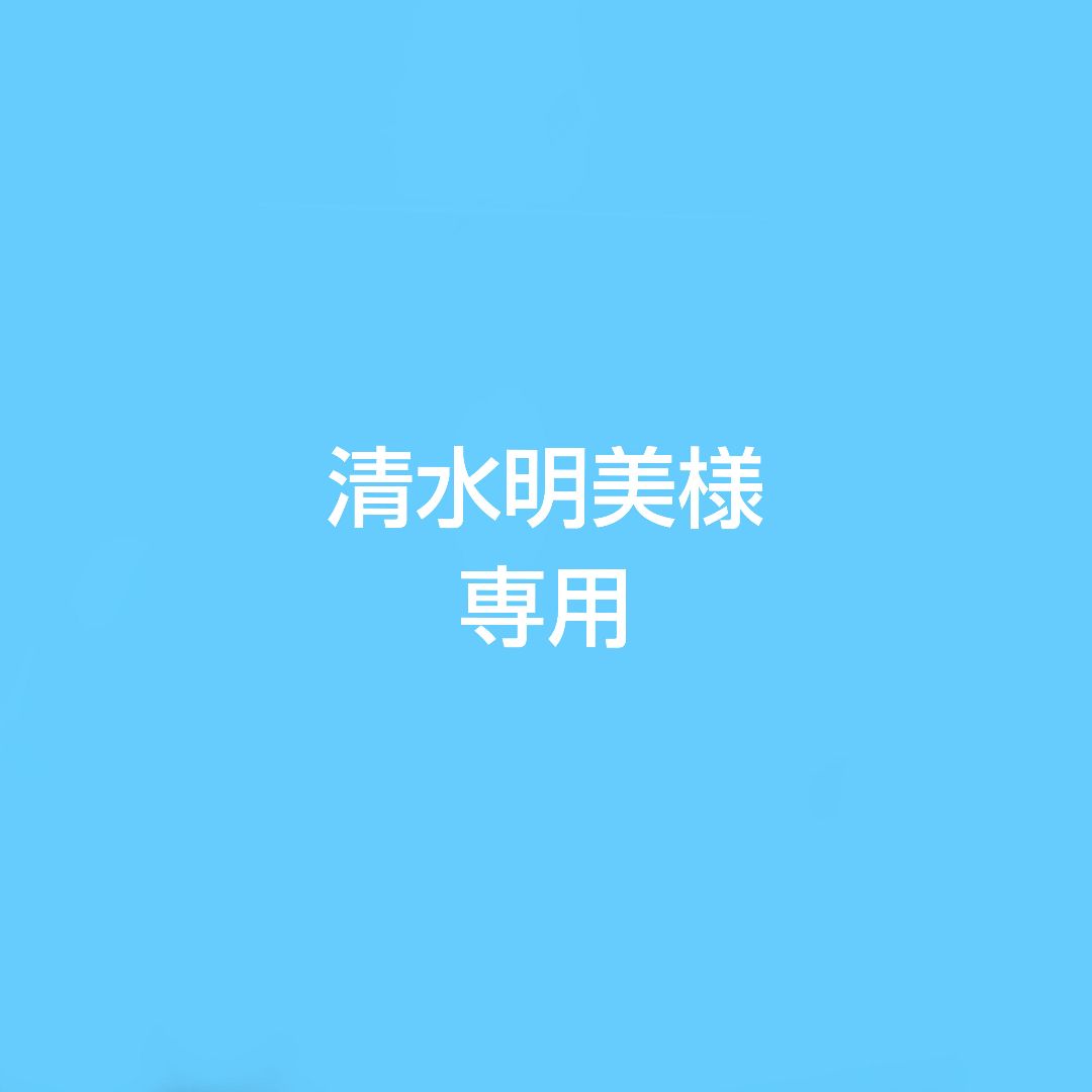専用　超強吸引力スチームクリーナー リンサークリーナー　布洗浄