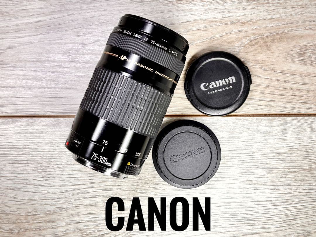 ✨安心保証✨CANON ZOOM EF 75-300mm f/4-5.6 USM