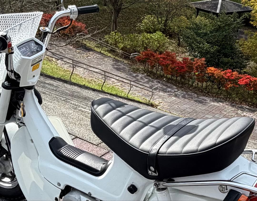 角目シャリー　シート