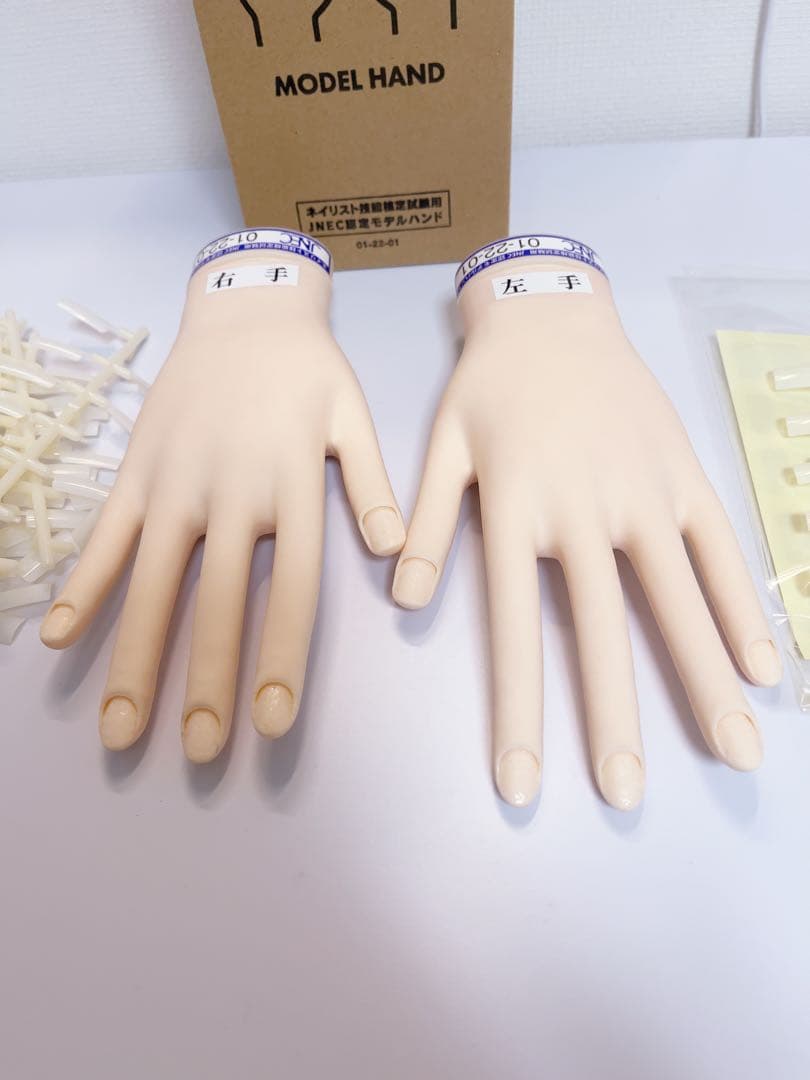 美品　タキガワ　JNEC認定モデルハンド　検定用認定ハンド　STモデルハンド