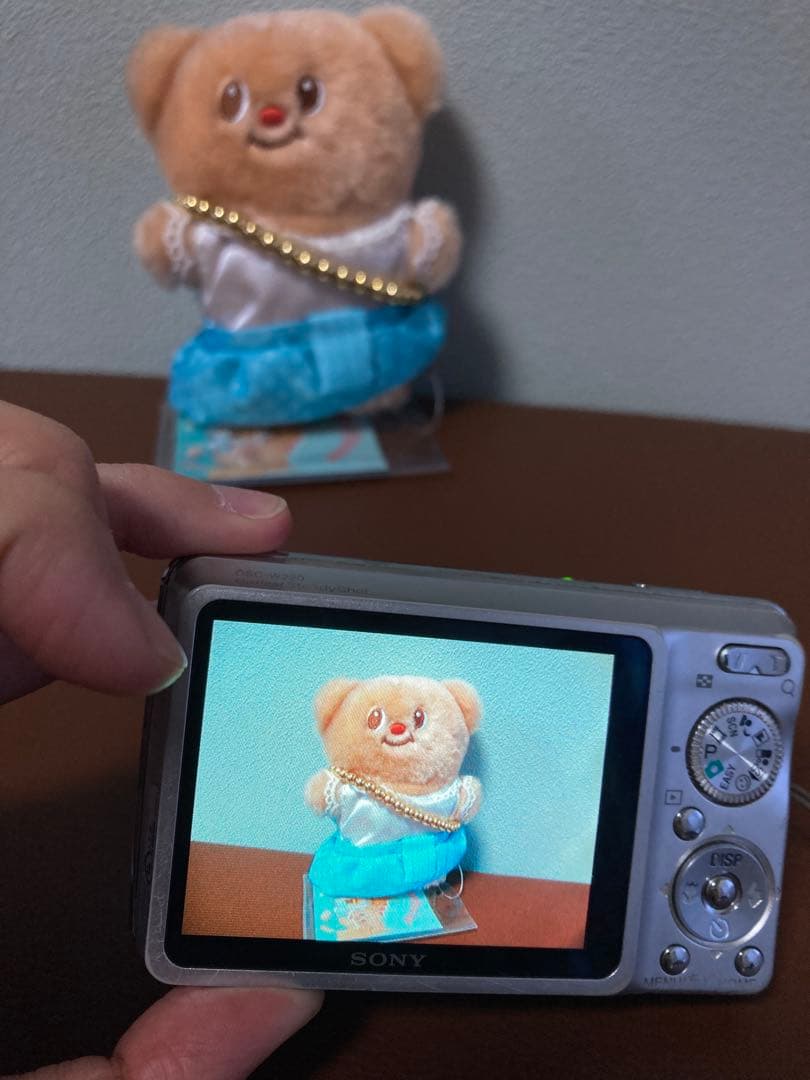 Sony Cyber-shot DSC-W220 デジカメ 動作品