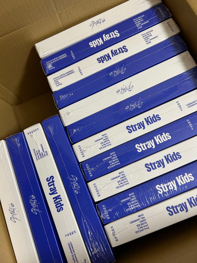 新品未開封　Stray Kids スキズ karma 通常盤 15個セット