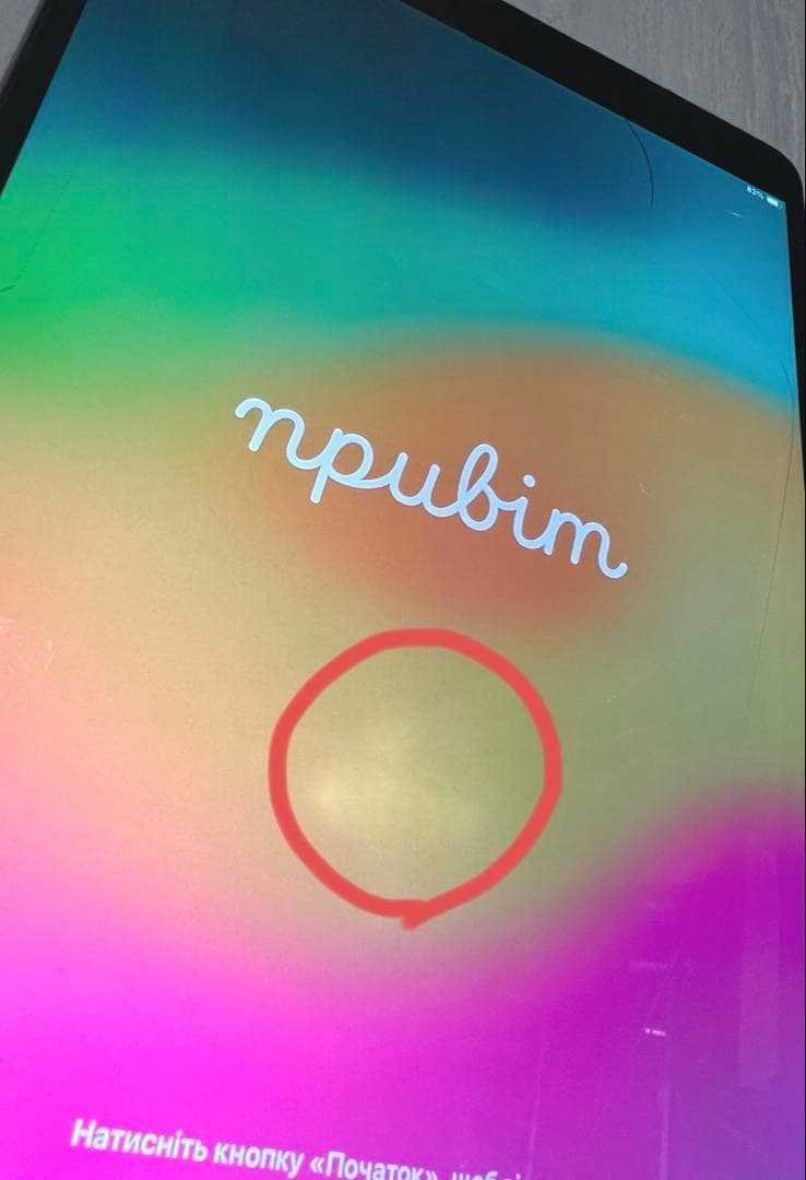 【ジャンク】iPad Pro 10.5インチ A1709