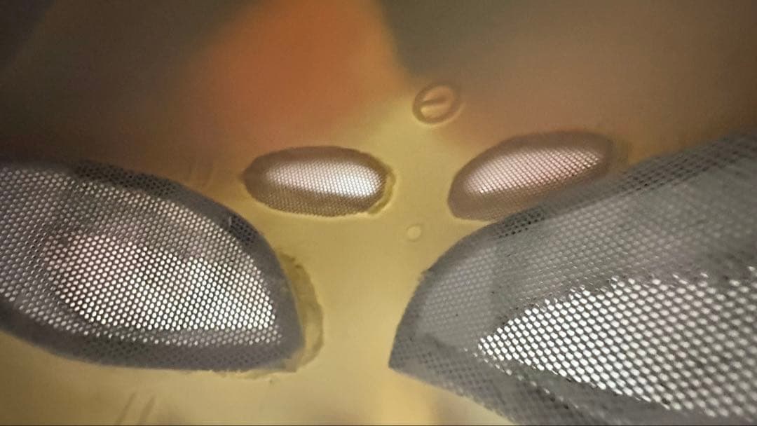 【最後のお値下げ】ケモノ 着ぐるみ ヘッド