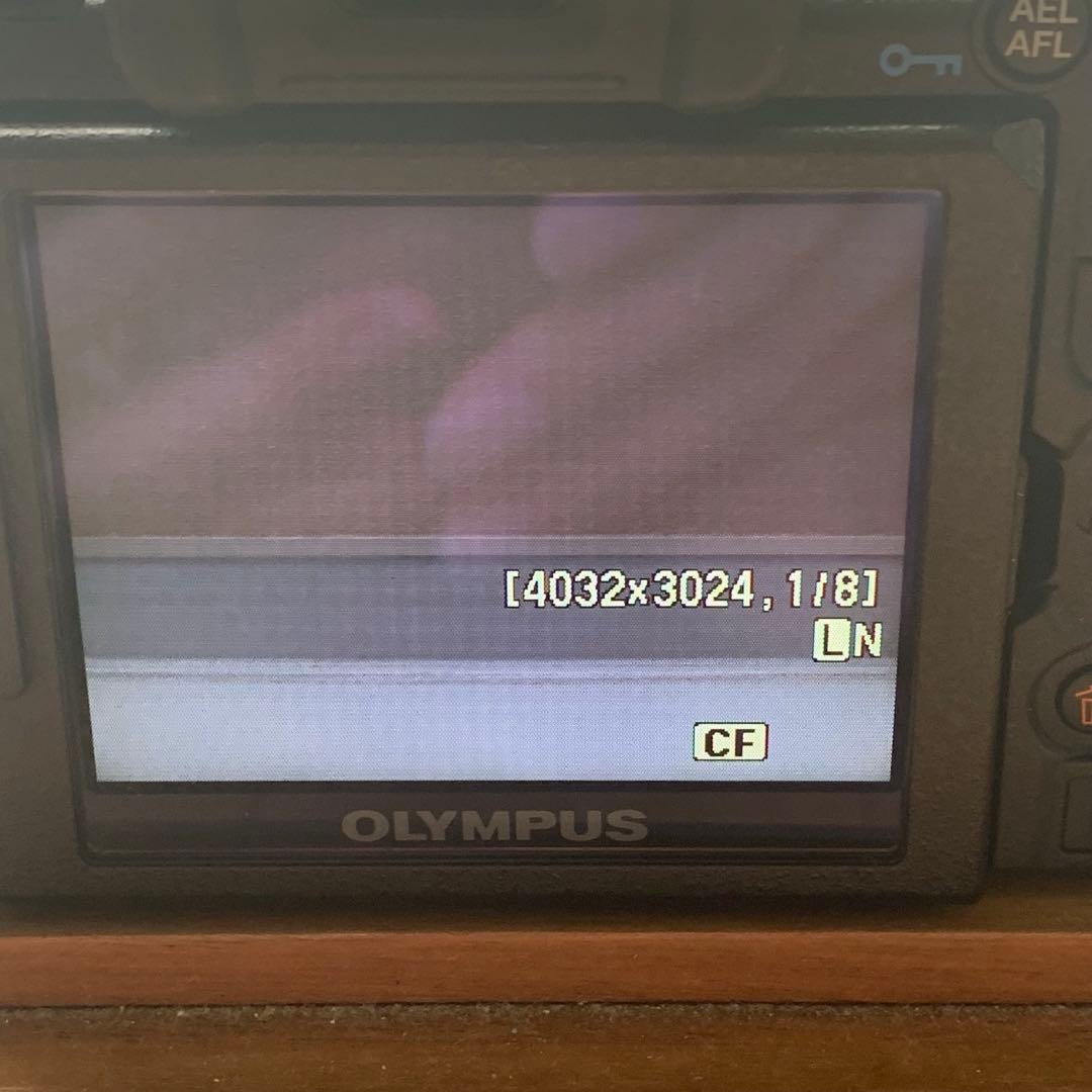 ジャンク オリンパス OLYMPUS E-620 壊れています