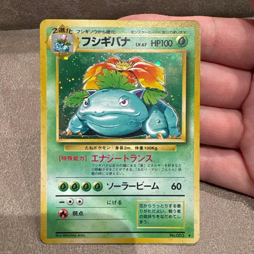 旧裏　フシギバナ