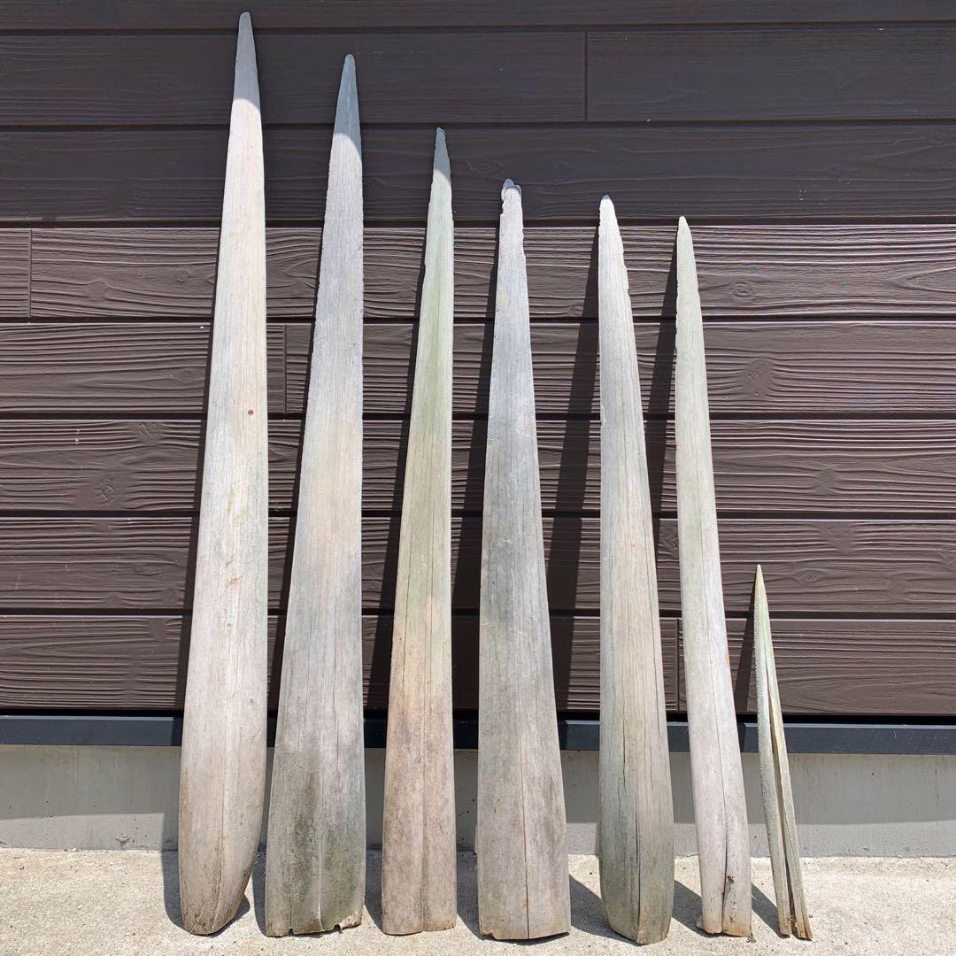 カジキ 角 1m超え