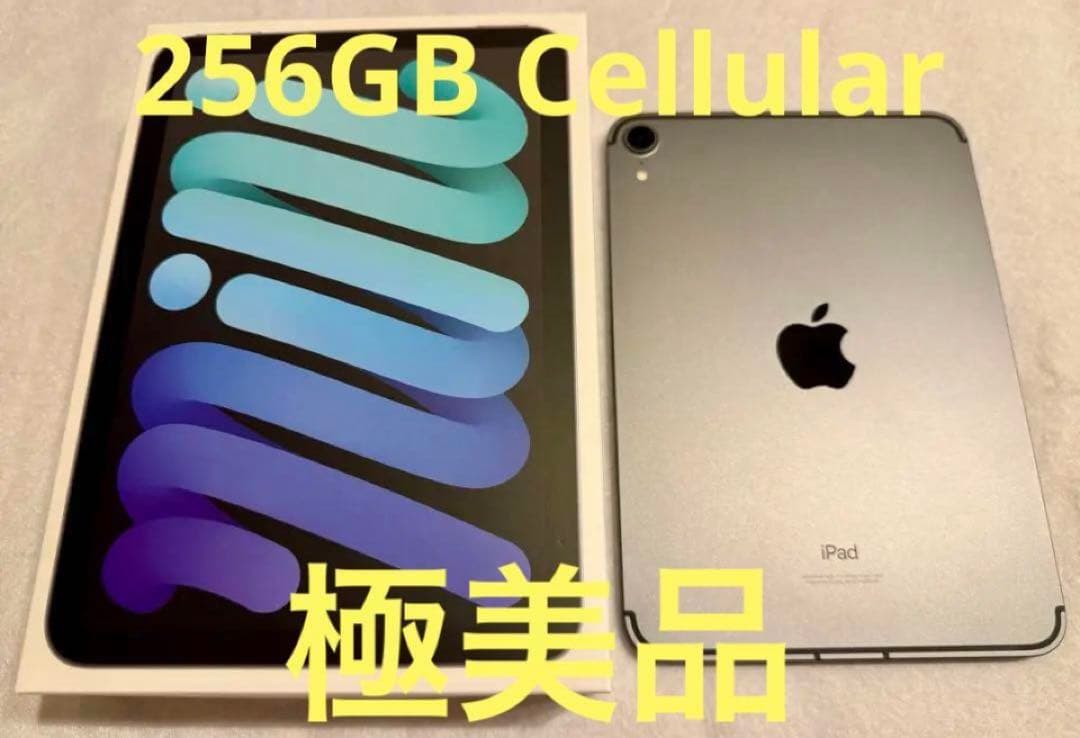 極美品 iPad mini 本体 第6世代 256GB セルラー スペースグレイ