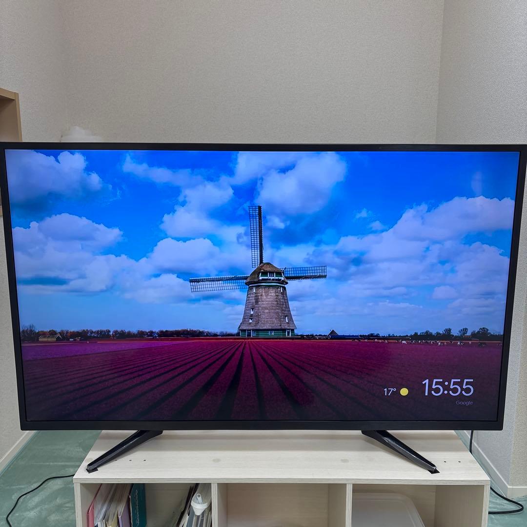 [1/29まで!] LE-4931TYZ4K 49インチ 4K液晶テレビ