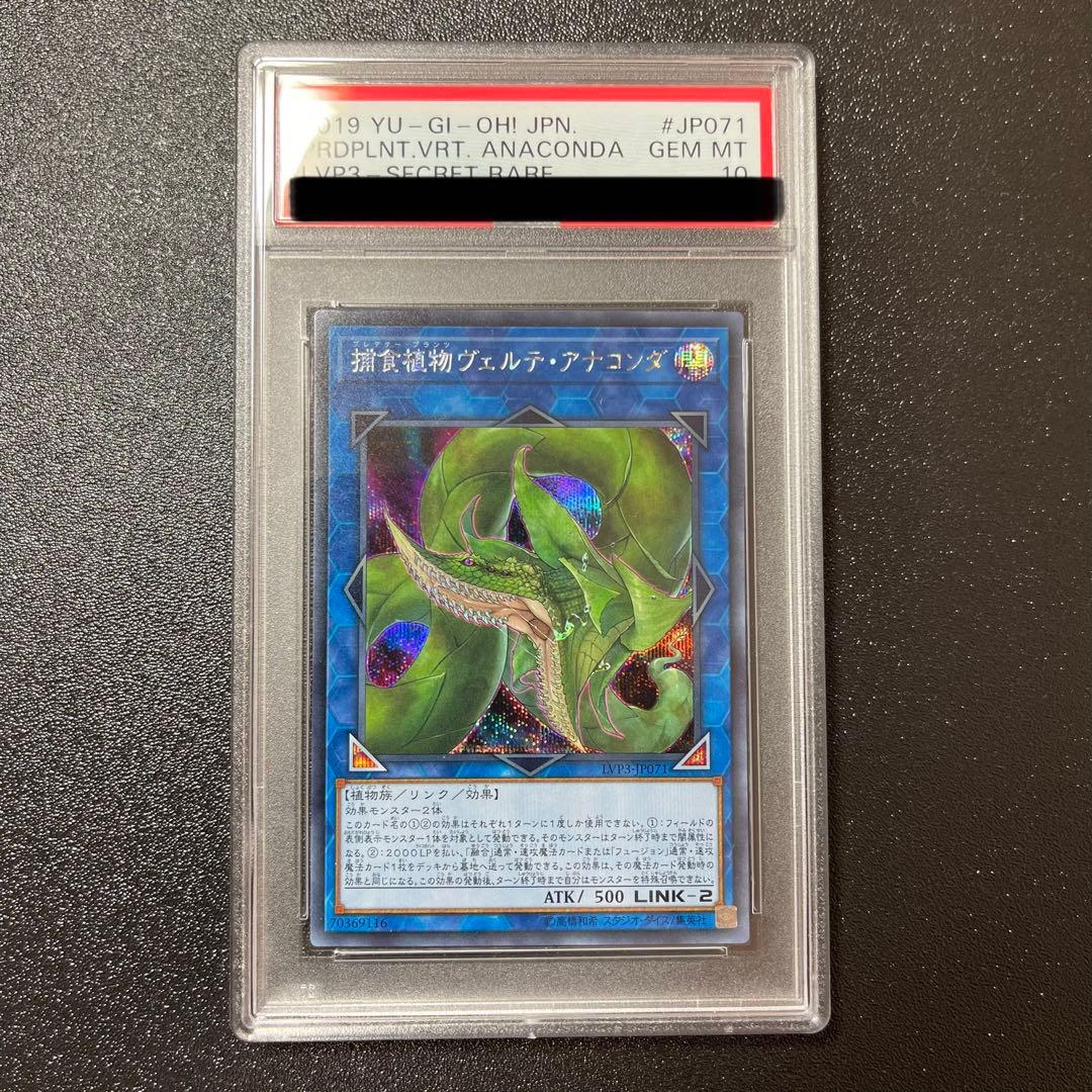 遊戯王　捕食植物ヴェルテ・アナコンダ　シークレット　PSA10