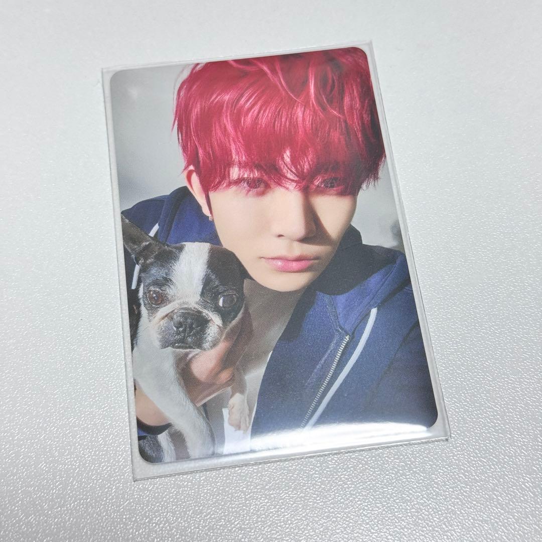 ENHYPEN アンケートトレカ ENGENE特別プレゼントカード