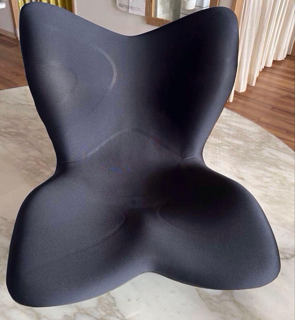 Style PREMIUM 骨盤・姿勢矯正クッション