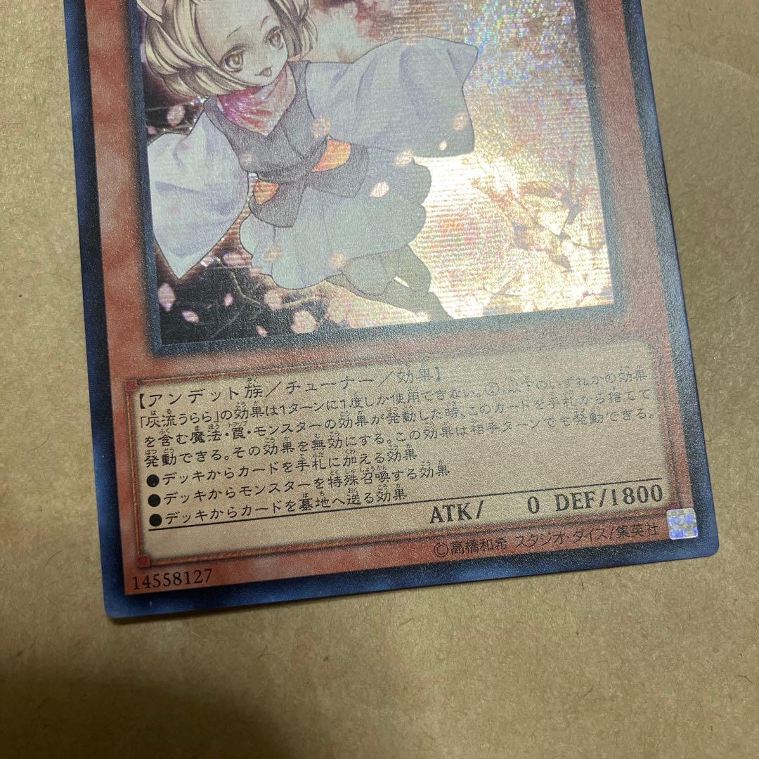 遊戯王　灰流うらら　アジア　シークレット MACR