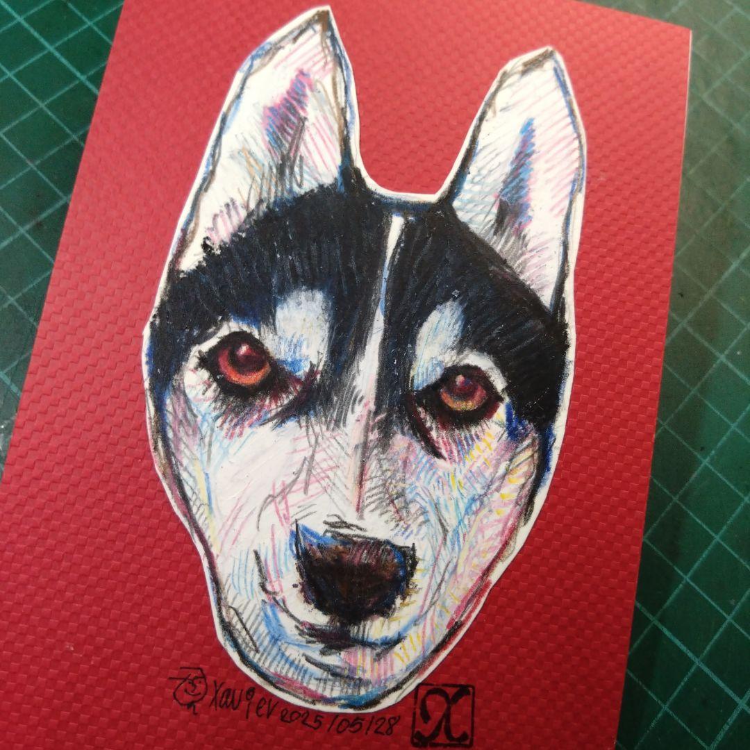 【ザビちゃん】【原画肉筆】ワンちゃん・ハスキー