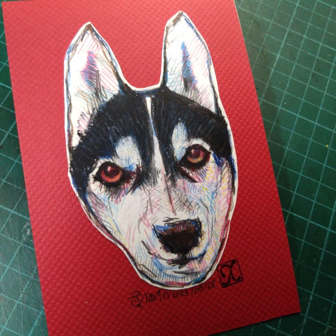 【ザビちゃん】【原画肉筆】ワンちゃん・ハスキー