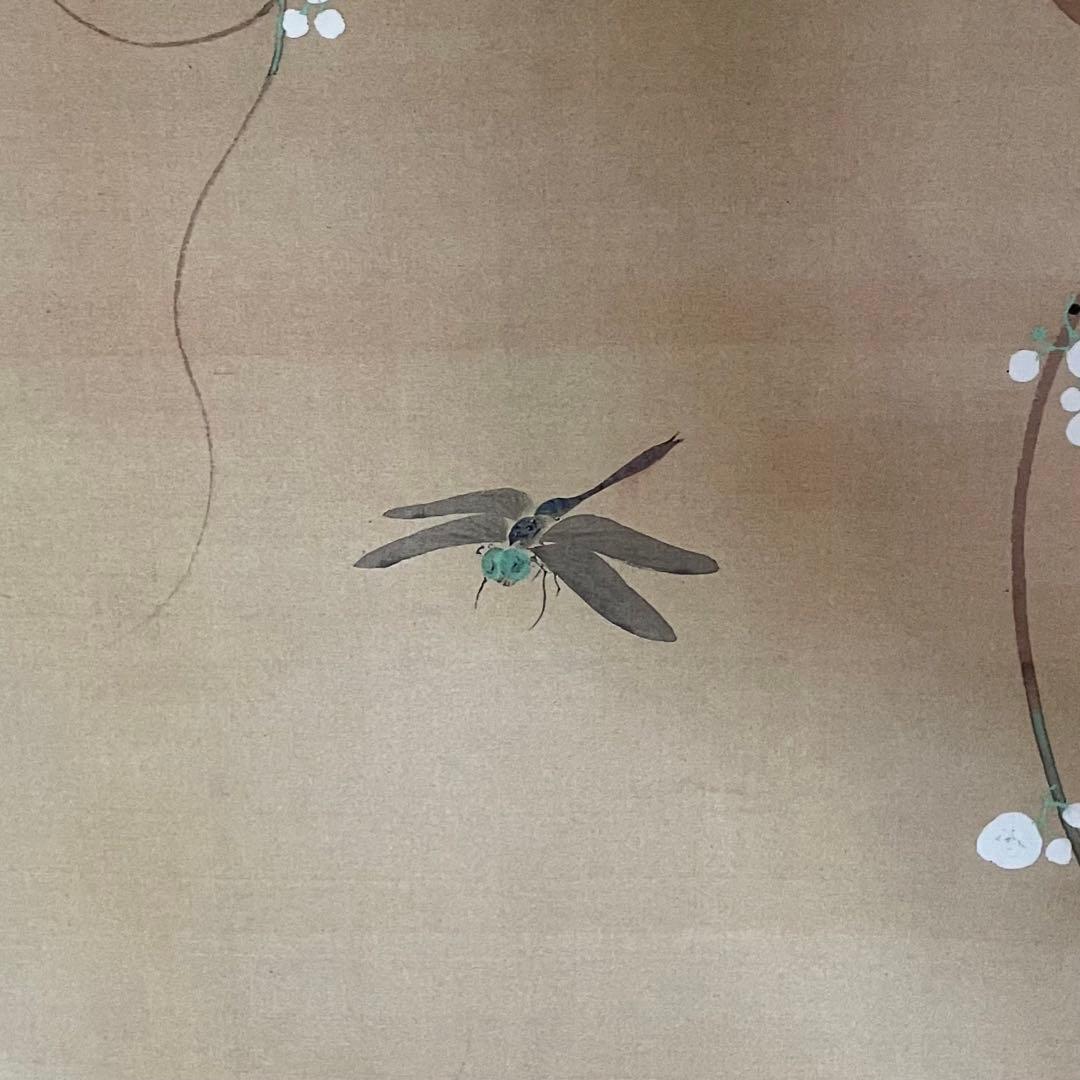 掛軸　酒井抱一「紫陽花に蜻蛉」六月　十二ヶ月花鳥図　印刷　箱付　25.4.6−2